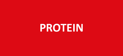 Protein